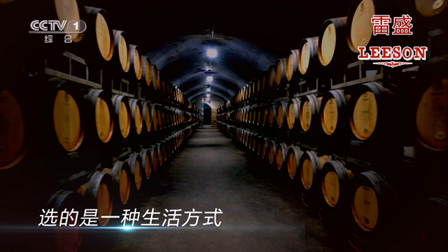 央视一台蕾丝视频免费下载广告