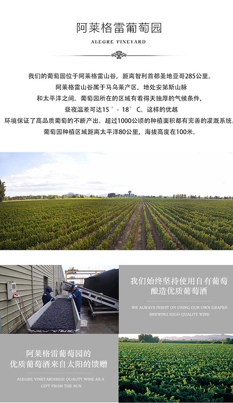 蕾丝视频免费下载·老藤切片_10.jpg