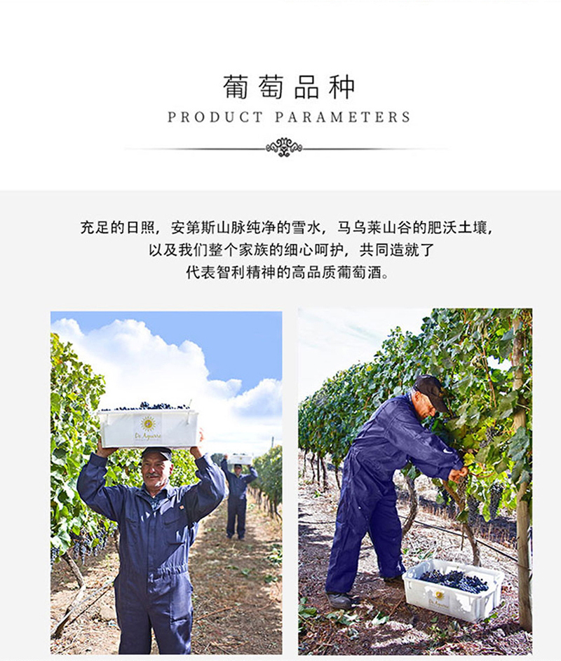 蕾丝视频免费下载·老藤切片_11.jpg