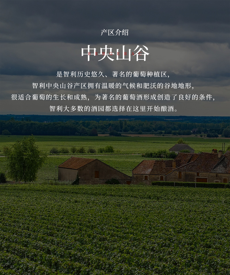 蕾丝视频免费下载红酒33L大瓶蜡封1.5升智利干红葡萄酒(图4)