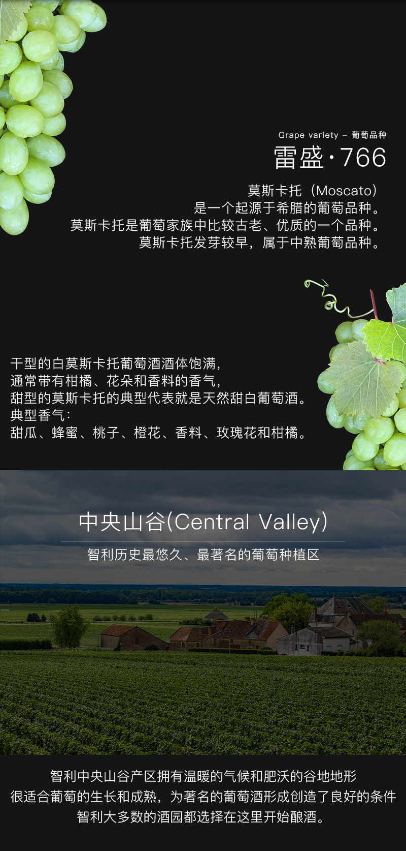 蕾丝视频免费下载红酒766智利莫斯卡托甜白葡萄酒(图4)