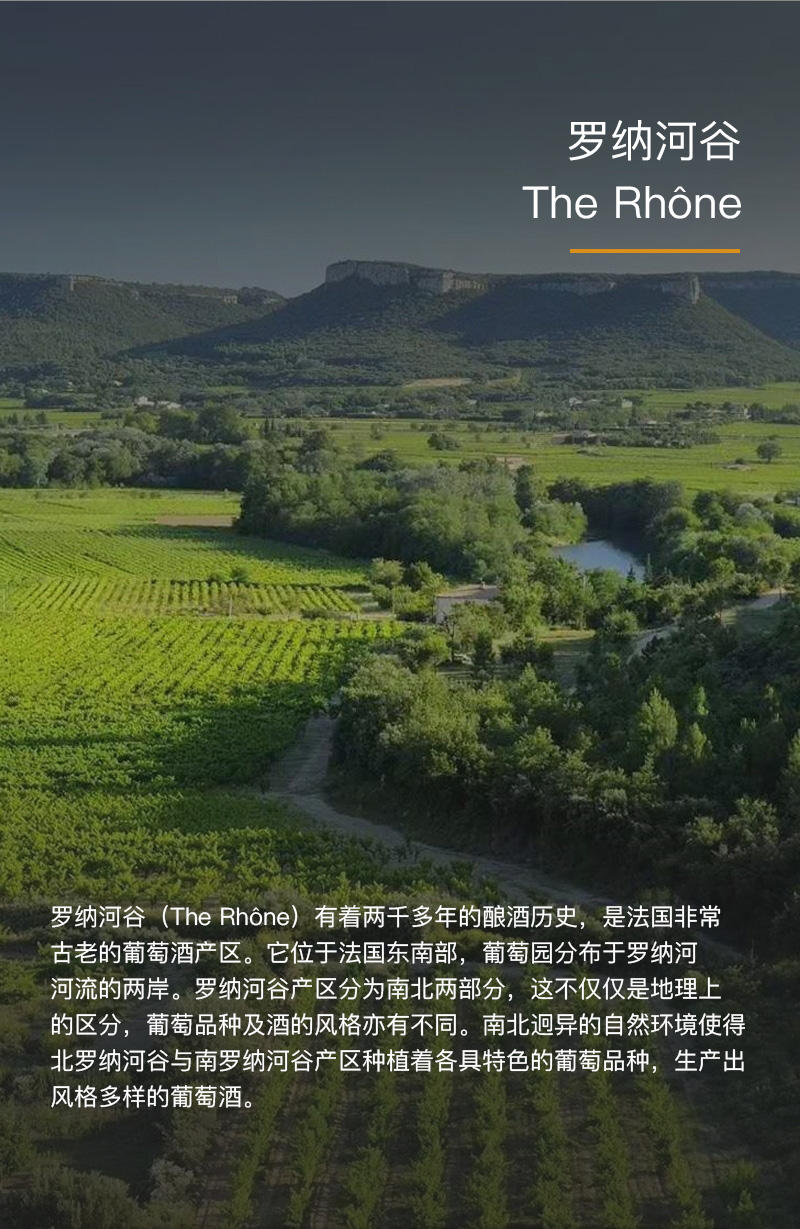 蕾丝视频免费下载红酒818法国豪华AOC干红葡萄酒(图3)